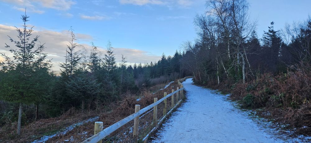 Beat the winter blues at Haldon Forest Park - Visit Exeter