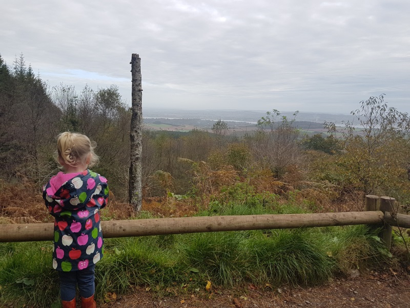 Haldon Forest Park