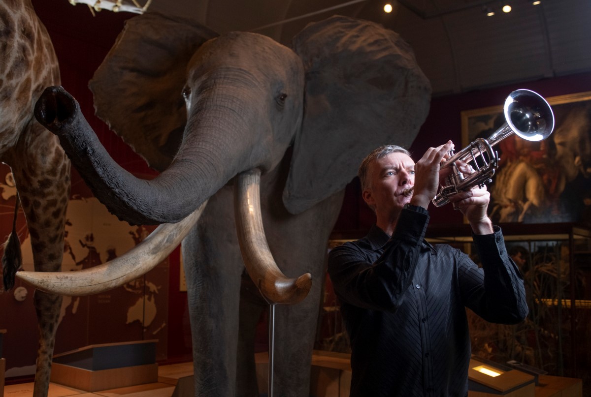 Music played in front of RAMM's Elephant (C) Steve Hayward