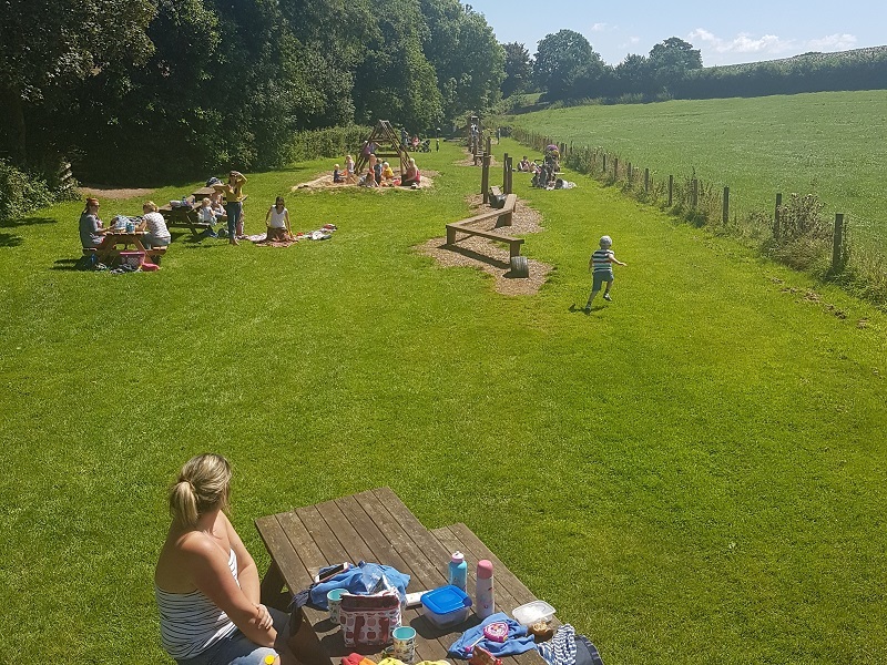 Summer Meadow at the Orange Elephant