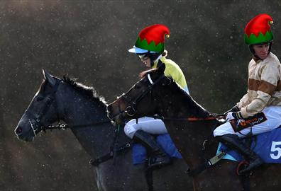 Come Racing At Exeter This Christmas Sports In Exeter Exeter Visit Exeter
