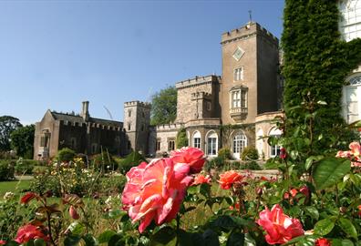 Powderham Castle gardens in summer