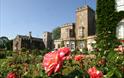 Powderham Castle gardens in summer