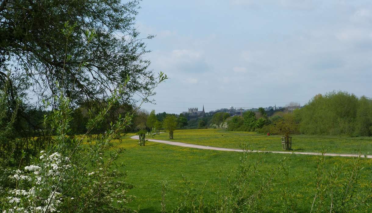 Riverside Valley Park Garden in Exeter, Exeter Visit Exeter