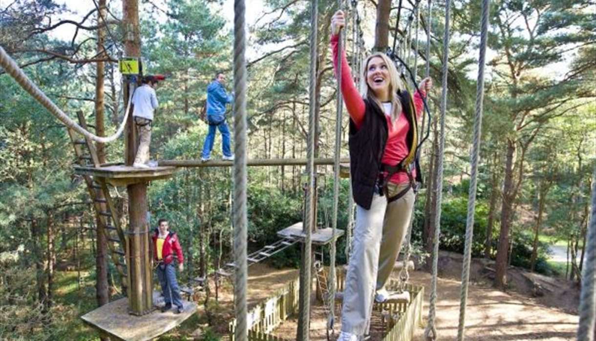 Go Ape! At Haldon Forest