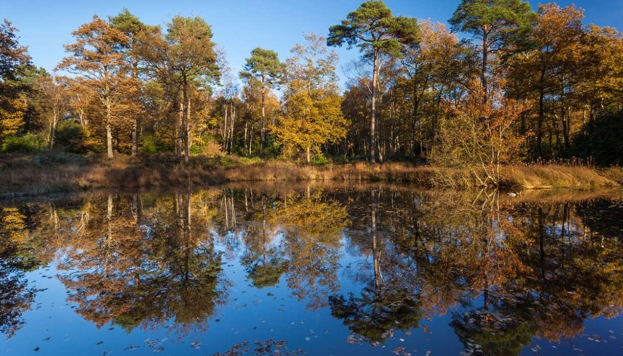 Stover Country Park Environmental Attraction in Newton Abbot, Newton