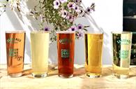 Cider