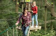 People on the bridge in the trees