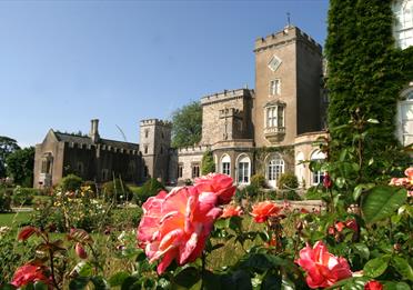 Powderham Castle gardens in summer